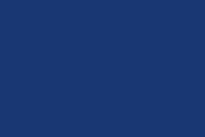 Indigo #193773