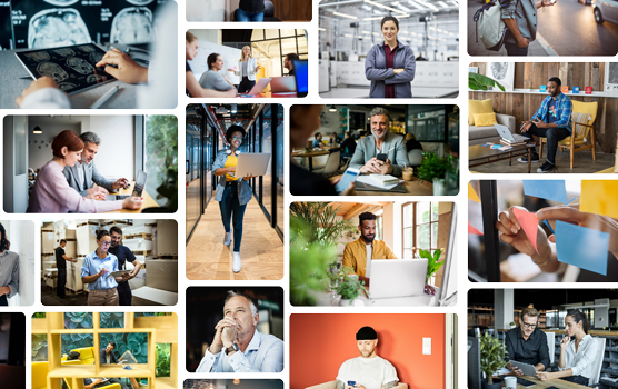 All Images in Database