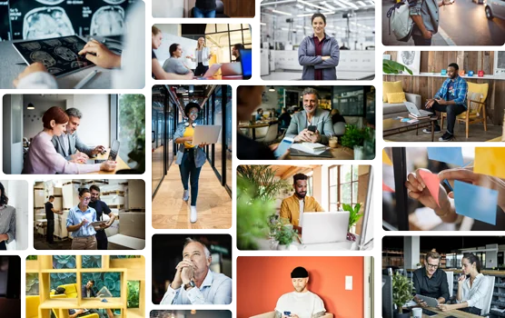 All Images in Database