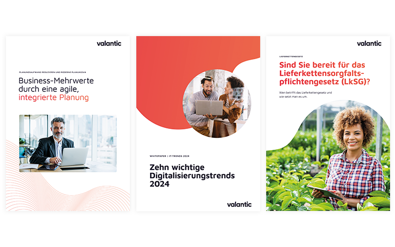 How to use images in the different routes